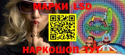 соль ск Дубна