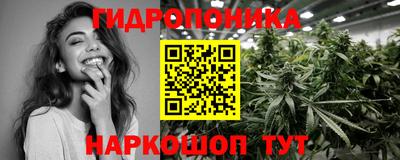 соль ск Дубна