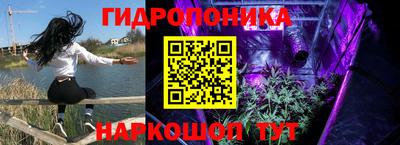 соль ск Дубна