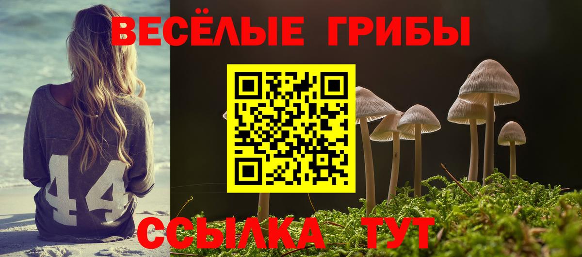 Галлюциногенные грибы прущие грибы Миасс
