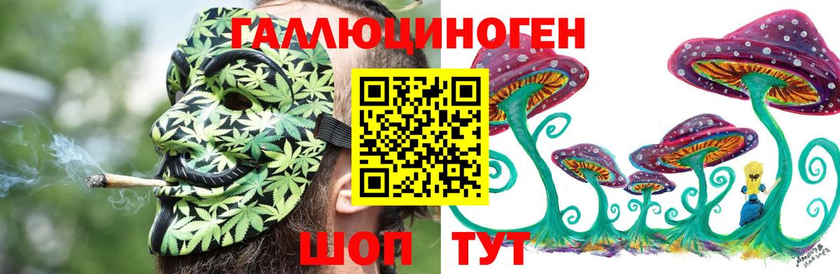 Миасс  Галлюциногенные грибы ЛСД  Псилоцибиновые грибы Psilocybine cubensis  Вход с VPN 